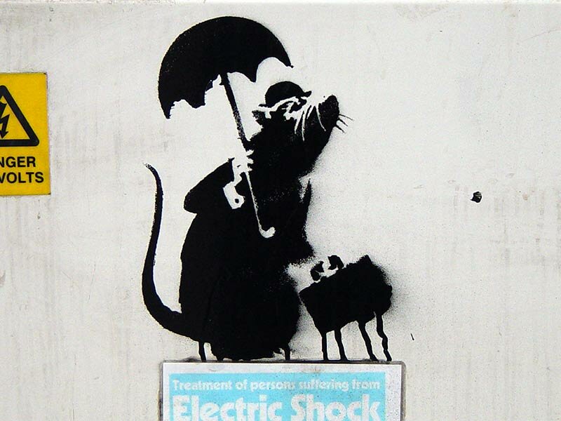 City Rat banksy wallpaper