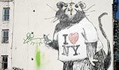I love NY rat banksy wallpaper