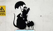 English Umbrella rat banksy wallpaper